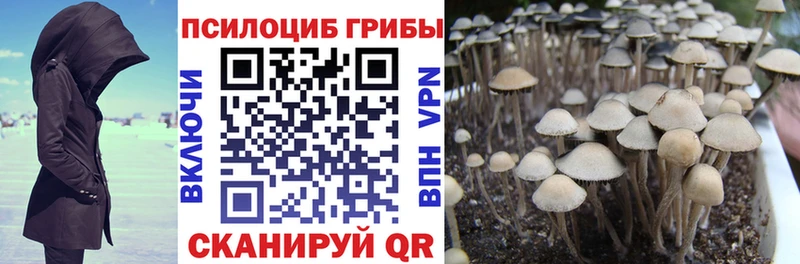 сайты даркнета официальный сайт  продажа наркотиков  Октябрьский  Псилоцибиновые грибы мицелий 